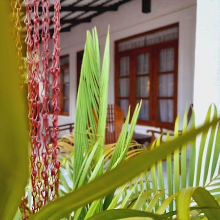The Cozy Cottage Habarana Ngoại thất bức ảnh