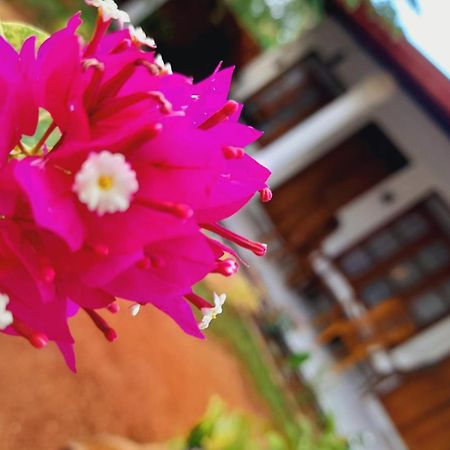 The Cozy Cottage Habarana Ngoại thất bức ảnh