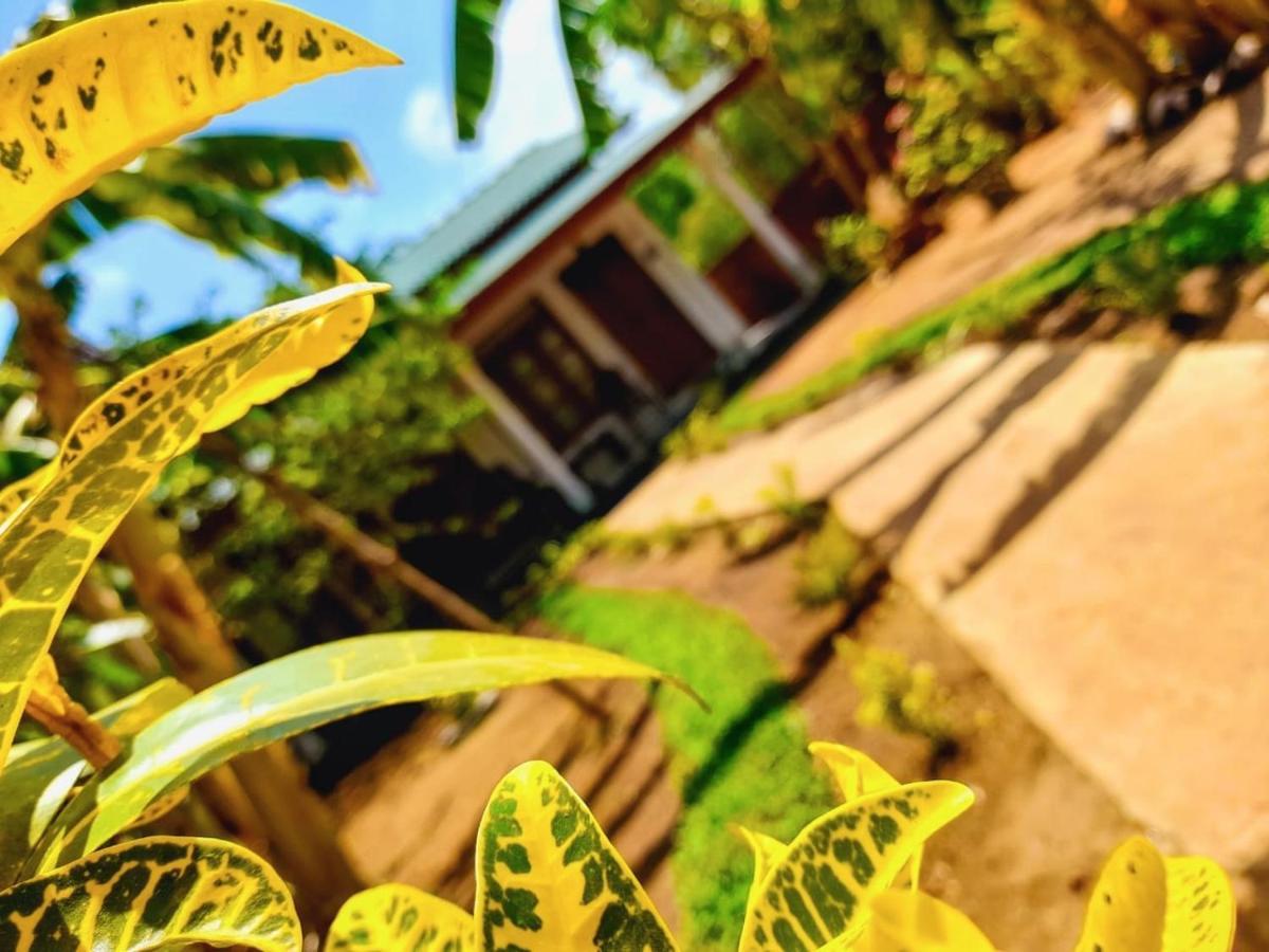 The Cozy Cottage Habarana Ngoại thất bức ảnh