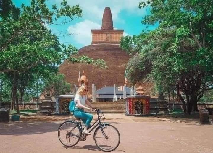The Cozy Cottage Habarana Ngoại thất bức ảnh