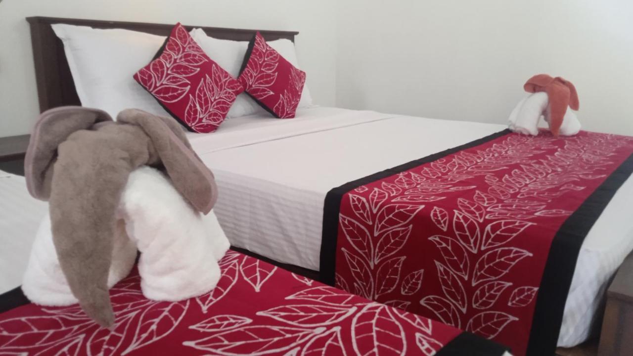 The Cozy Cottage Habarana Ngoại thất bức ảnh