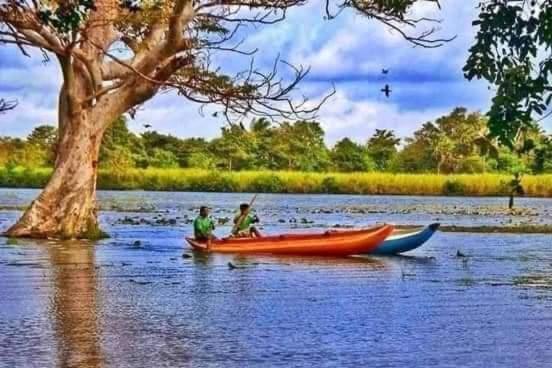 The Cozy Cottage Habarana Ngoại thất bức ảnh