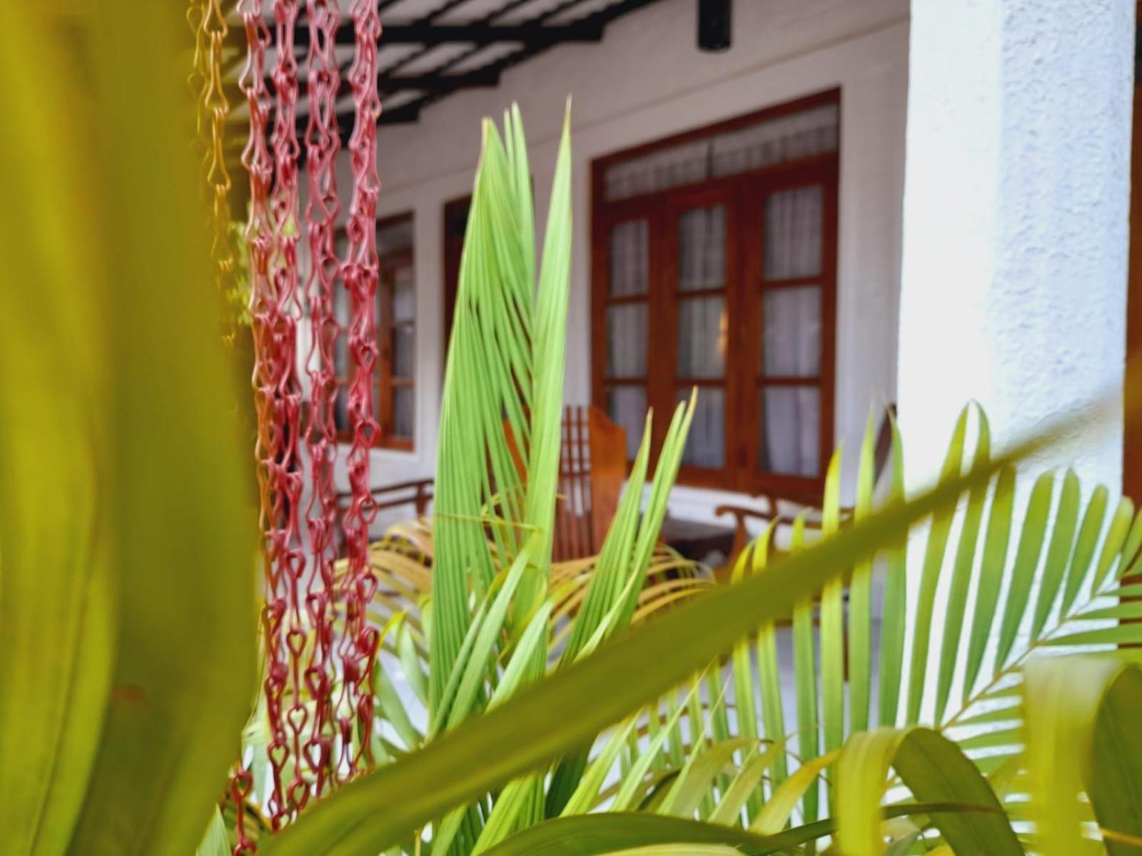 The Cozy Cottage Habarana Ngoại thất bức ảnh
