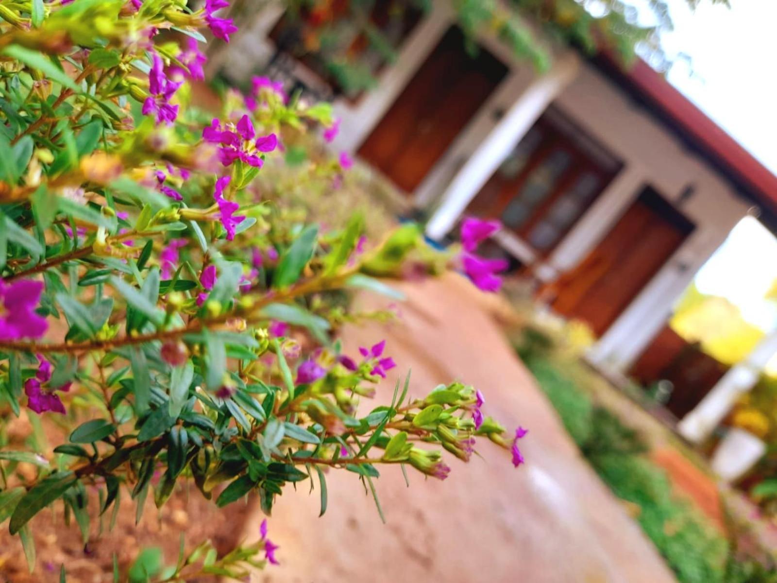 The Cozy Cottage Habarana Ngoại thất bức ảnh