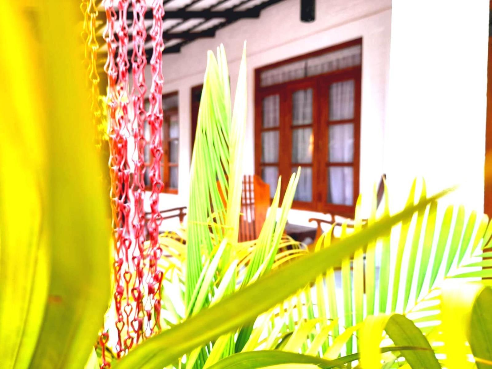 The Cozy Cottage Habarana Ngoại thất bức ảnh