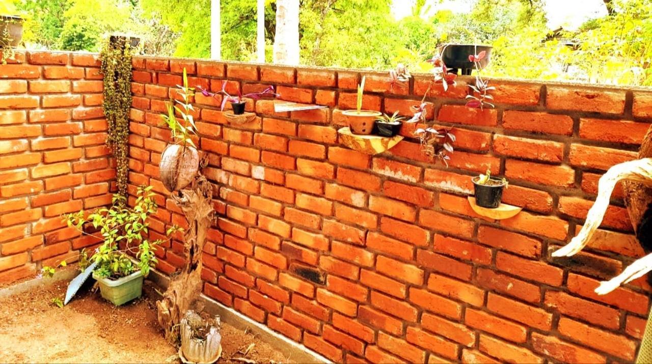The Cozy Cottage Habarana Ngoại thất bức ảnh